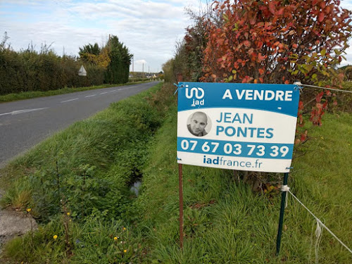 Conseiller immobilier IAD Jean Pontes Angers à Loire-Authion