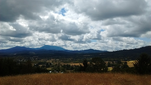 Winery «Pheasant Court Winery», reviews and photos, 1731 Pheasant Ct, Philomath, OR 97370, USA