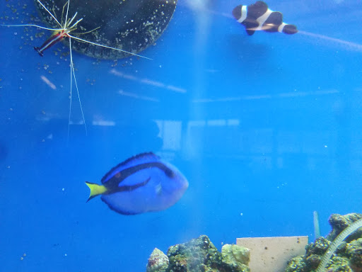 Pet Supply Store «Petco Animal Supplies», reviews and photos, 753 53rd Ave NE, Fridley, MN 55421, USA