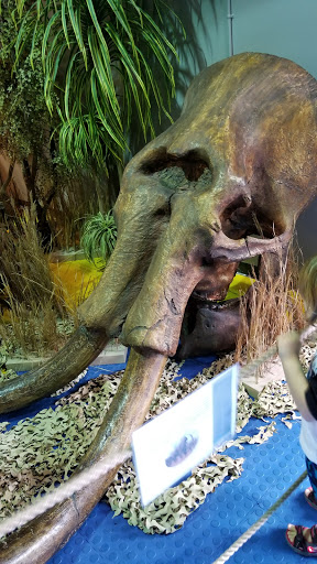 Tourist Attraction «IMAG History & Science Center (formerly Imaginarium Science Center)», reviews and photos, 2000 Cranford Ave, Fort Myers, FL 33916, USA