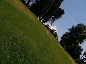 Ford Park - photo 86