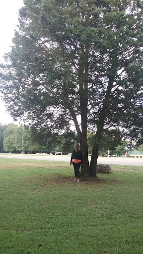 Park «Smyrna Parks & Recreation Department», reviews and photos, 100 Sam Ridley Pkwy E, Smyrna, TN 37167, USA