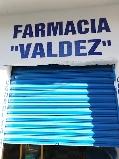 Farmacia Valdez Eutimio Pinzón 43, Centro, 40000 Iguala De La Independencia, Gro. Mexico
