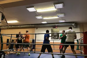 Vilnius Boxing LT image