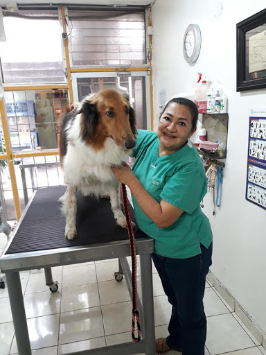 Veterinary Animal Health