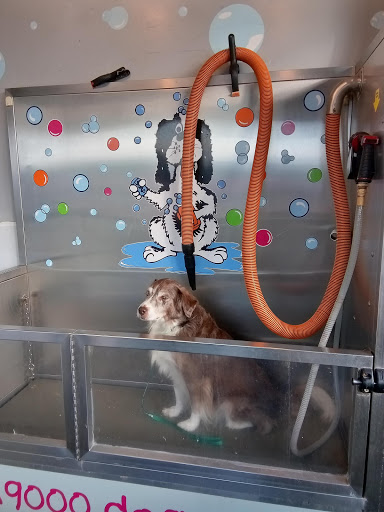 Pet Groomer «Belly scRubs Self Service Pet Wash», reviews and photos, 119 WV-34 #1, Hurricane, WV 25526, USA