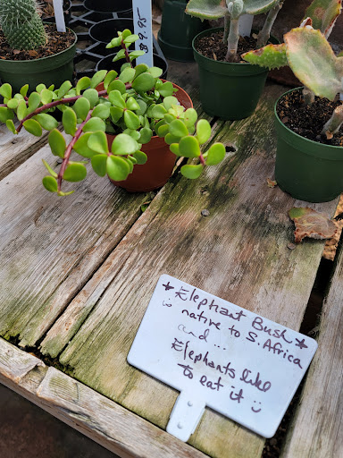 Florist «Platte Floral», reviews and photos, 1417 E Platte Ave, Colorado Springs, CO 80909, USA