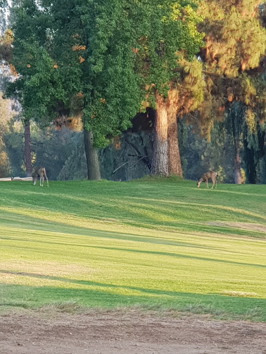 Golf Course «Marshall Canyon Golf Course», reviews and photos, 6100 Stephens Ranch Rd, La Verne, CA 91750, USA