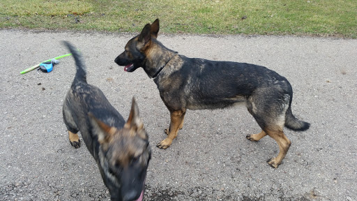 Golf Course «Cassel Hills Golf Course», reviews and photos, 201 Clubhouse Way, Vandalia, OH 45377, USA