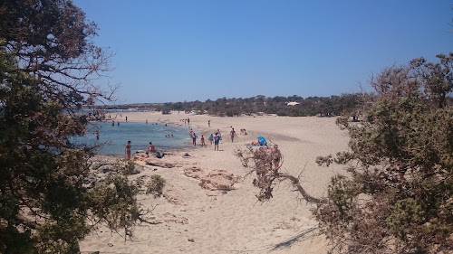 Frangou Mnima photo #2