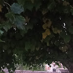 Photo n° 1 de l'avis de viviane.o fait le 17/10/2023 à 14:31 pour Chambres d'hôtes Au dela des vignes à Baubigny