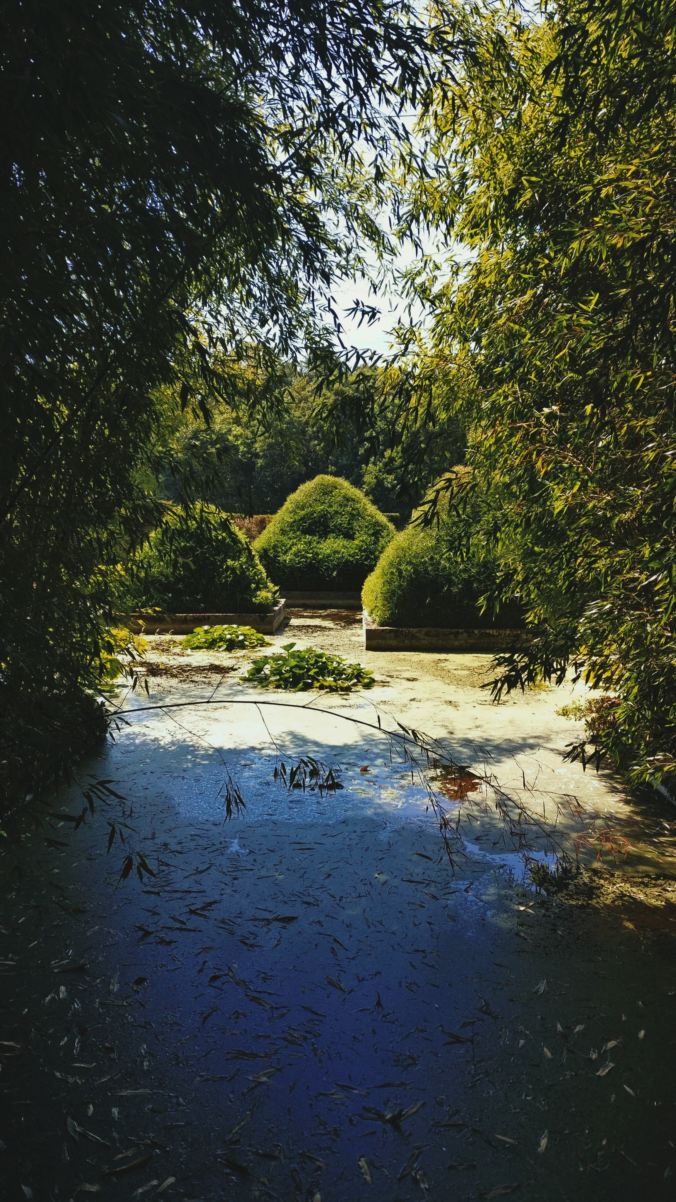 Photo n° 4 de l'avis de Wlad. fait le 10/08/2022 à 18:46