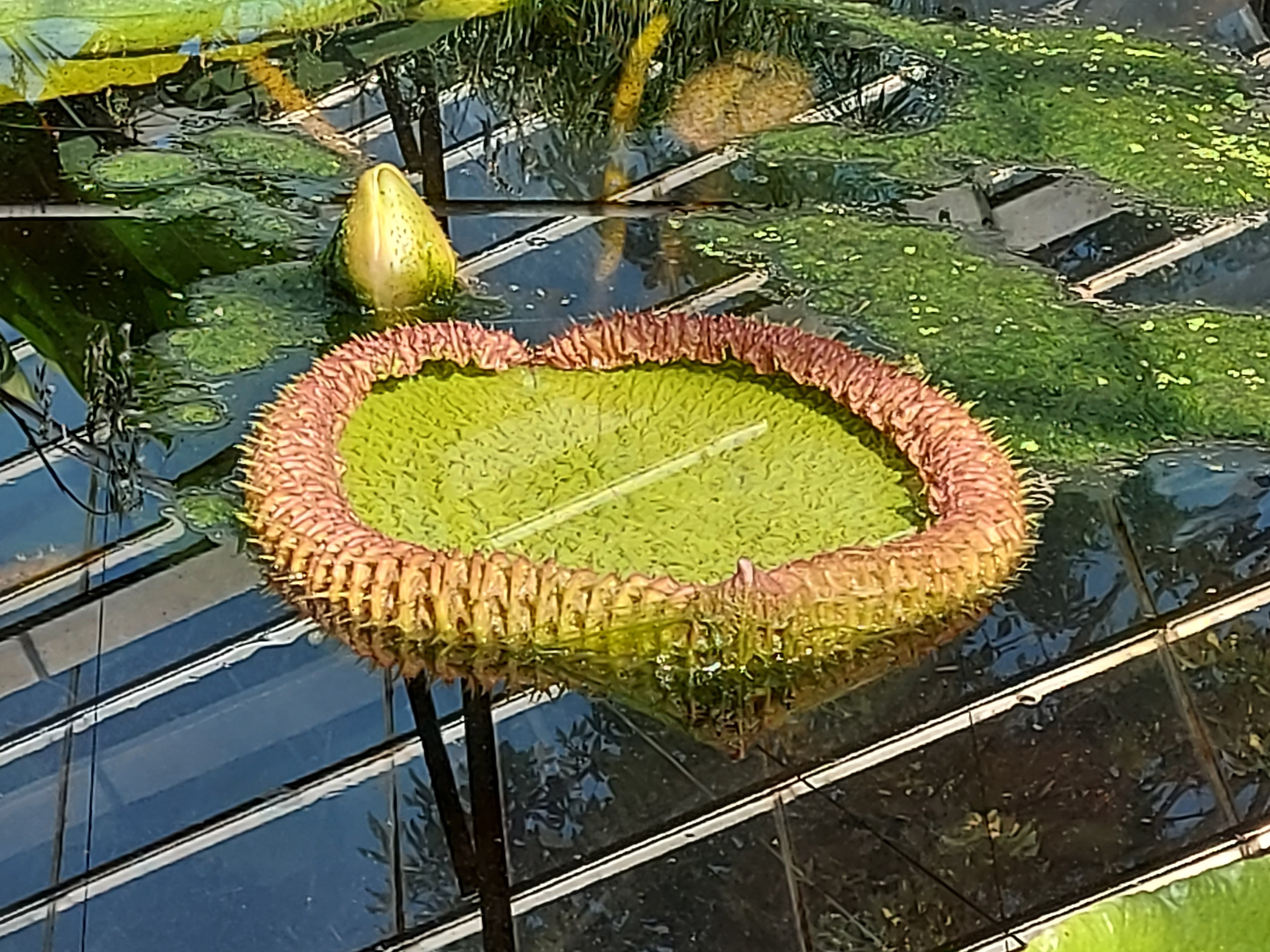 Photo n° 20 de l'avis de Brigitte.o fait le 02/09/2021 à 08:01