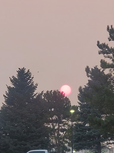 Department Store «Walmart Supercenter», reviews and photos, 6675 Business Center Dr, Highlands Ranch, CO 80130, USA