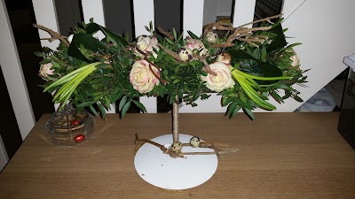 Photos of C.A. Simonse Rozenkwekerij en Caravanstalling