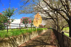 Koshindaira Park image
