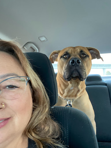 Pet Supply Store «Haute Dogs Boutique & Barkery», reviews and photos, 507 Georgia St, Vallejo, CA 94590, USA