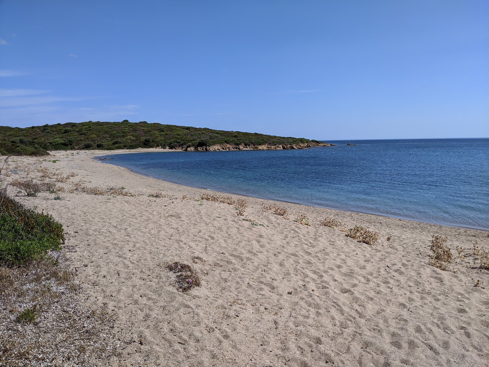 Foto van Spiaggia della Vecchia Dogana wilde omgeving