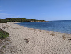 Vecchia Dogana Beach'in fotoğrafı doğal alan içinde bulunmaktadır