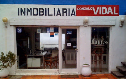 Inmobiliaria Gonzalo Vidal