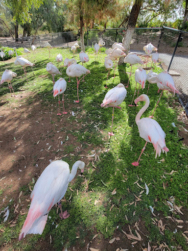 Zoo «Phoenix Zoo», reviews and photos, 455 N Galvin Pkwy, Phoenix, AZ 85008, USA