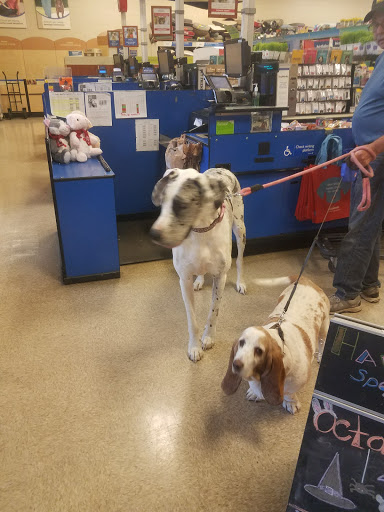 Pet Supply Store «PetSmart», reviews and photos, 1275 N Military Hwy, Norfolk, VA 23502, USA