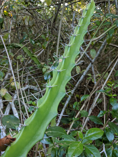 Non-Profit Organization «Sanibel-Captiva Conservation Foundation», reviews and photos, 3333 Sanibel Captiva Rd, Sanibel, FL 33957, USA