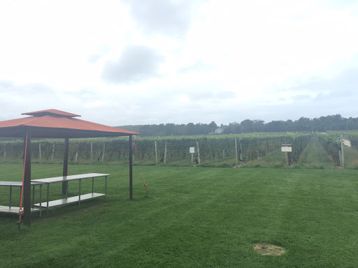 Winery «Channing Daughters Winery», reviews and photos, 1927 Scuttle Hole Rd, Bridgehampton, NY 11932, USA