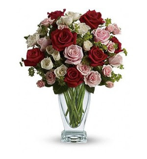 The Florist Hub Flowers, Roses, Gifts Online