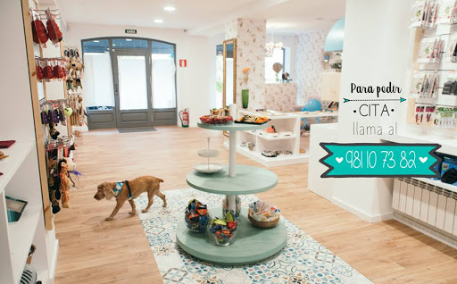 Baraka Animal - Boutique Peluqueria Canina & Spa