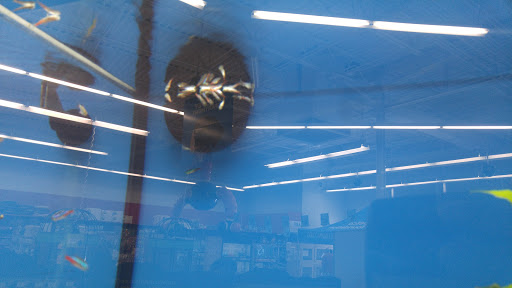 Pet Supply Store «Petco Animal Supplies», reviews and photos, 3194 FM407, Highland Village, TX 75077, USA