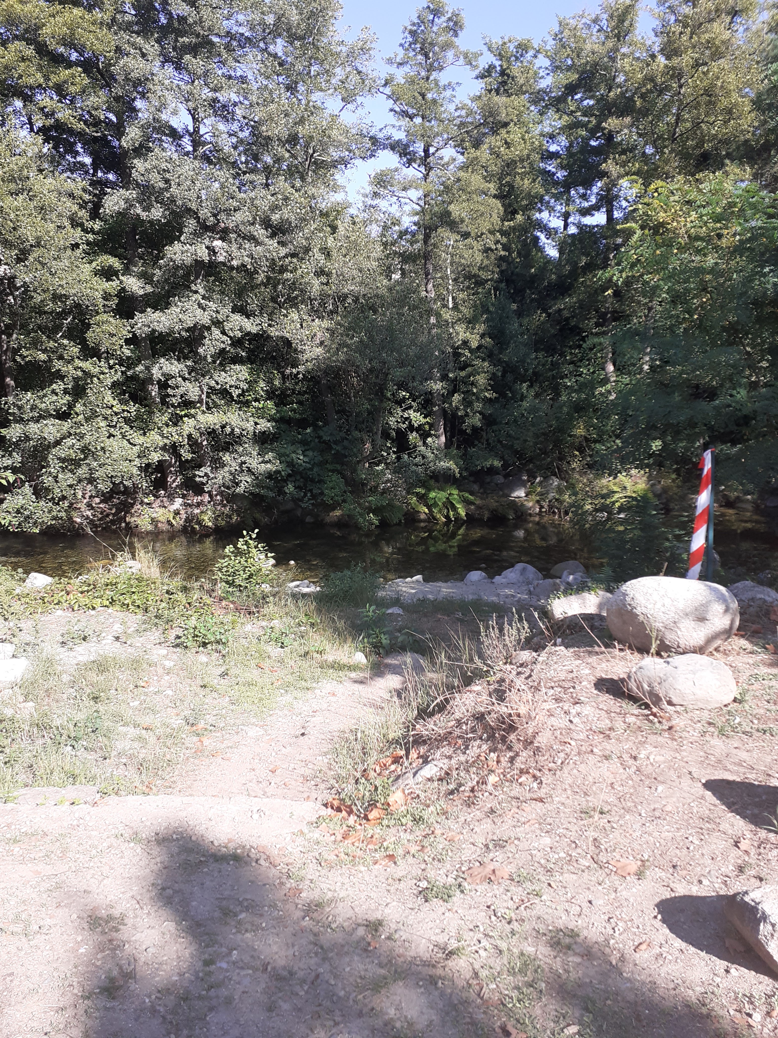 Photo n° 2 de l'avis de Ariette.e fait le 01/10/2023 à 11:41