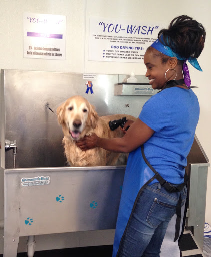 Pet Groomer «Blue Ribbon Dog Grooming LLC Anderson», reviews and photos, 5038 S Scatterfield Rd, Anderson, IN 46013, USA