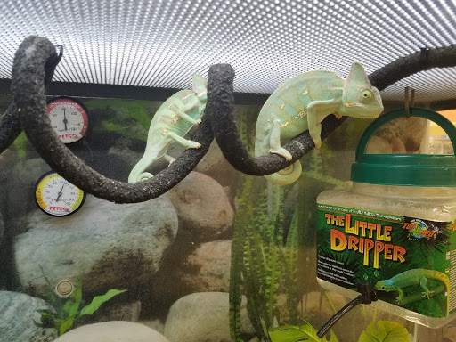 Pet Supply Store «Petco Animal Supplies», reviews and photos, 645 S Green Valley Pkwy, Henderson, NV 89052, USA