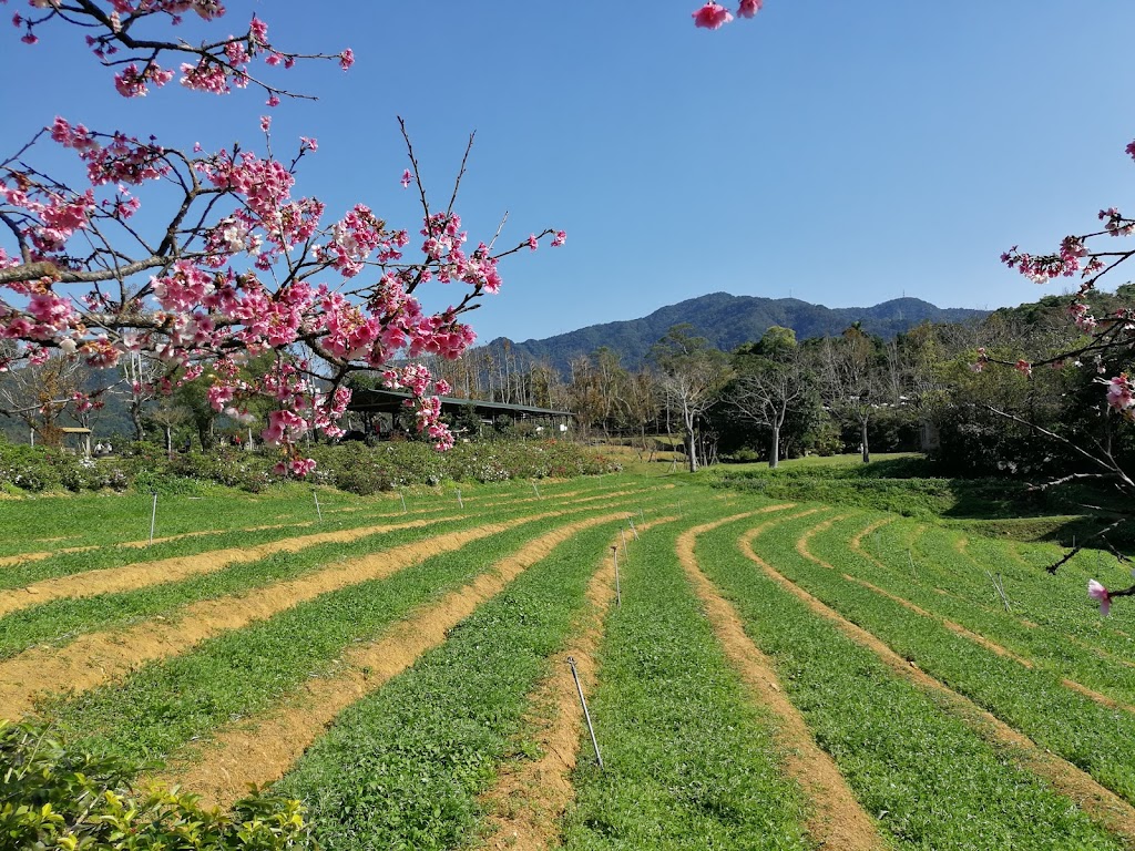 吃茶客 （吃茶咖）重慶烤魚、酸菜魚、正宗川菜熱炒、飲料、咖啡、火鍋、麻辣火鍋）川味休閒事業有限公司 的照片
