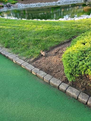 Golf Course «Otte Golf & Family Fun Center», reviews and photos, 681 Sheek Rd, Greenwood, IN 46143, USA