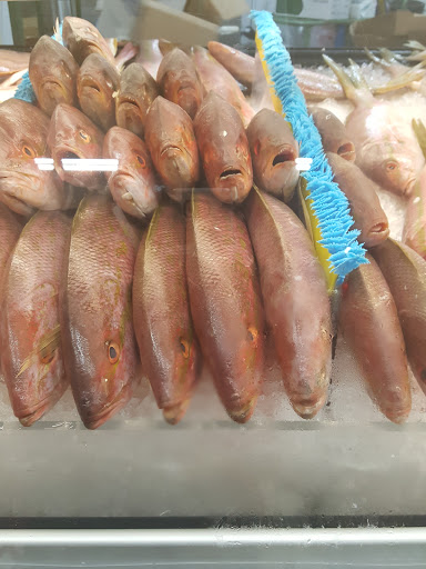 Grocery Store «Bravo Supermarkets», reviews and photos, 1621 N State Rd 7, Lauderhill, FL 33313, USA