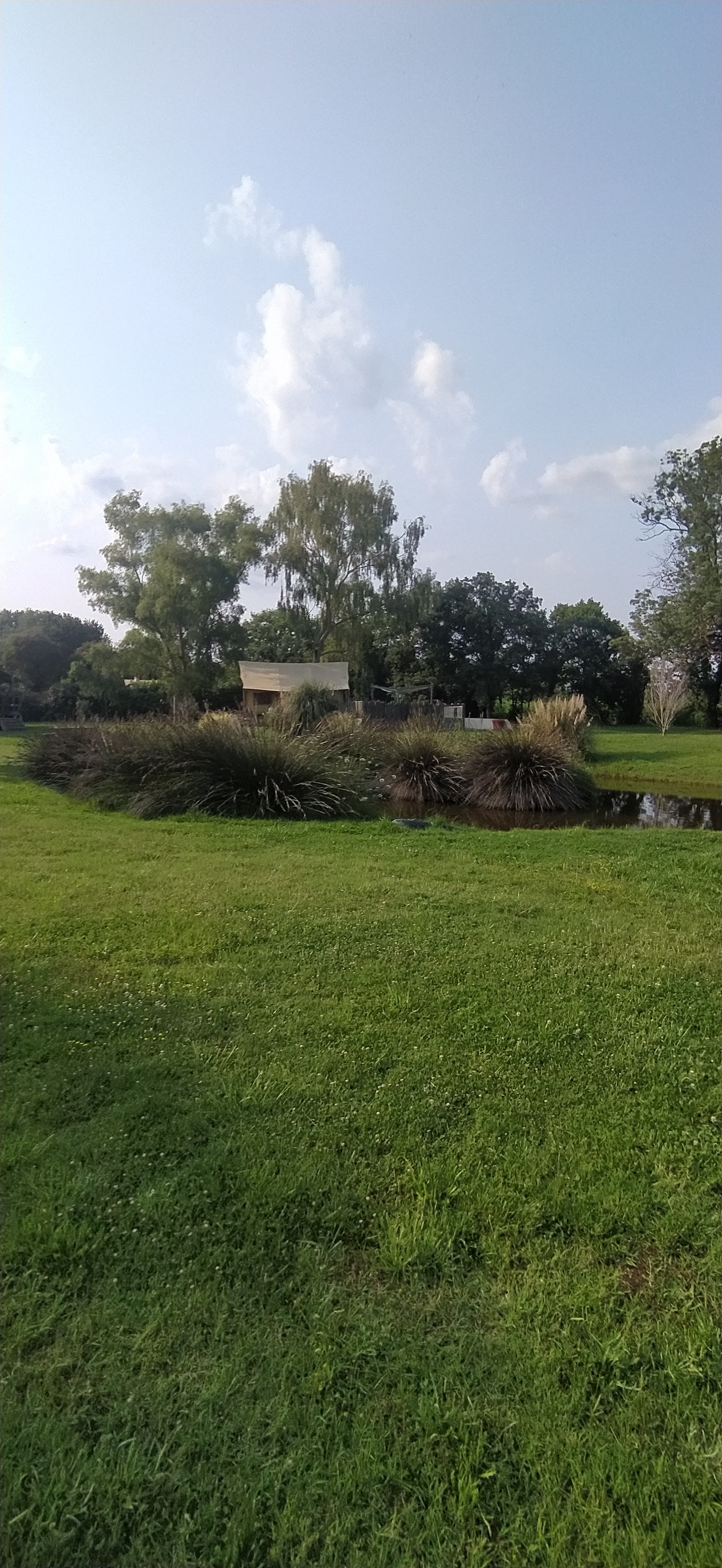 Photo n° 2 de l'avis de Tom.i fait le 18/06/2023 à 14:46