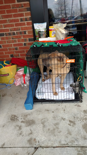 Pet Supply Store «PetSmart», reviews and photos, 3335 Cobb Pkwy NW #400, Acworth, GA 30101, USA