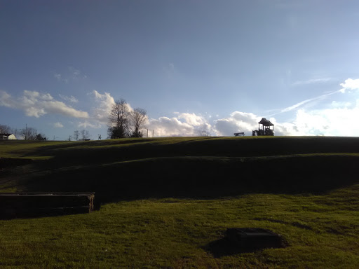 Discount Store «Dollar General», reviews and photos, 3420 Main St, Stamping Ground, KY 40379, USA