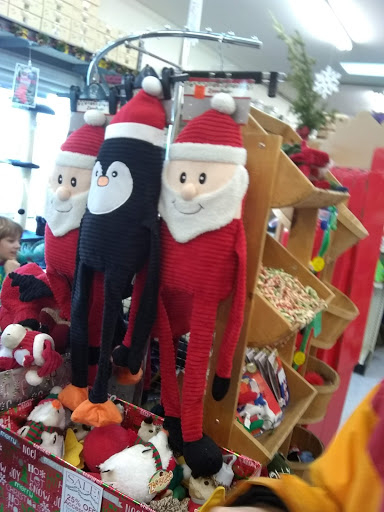 Pet Supply Store «Pet Food Warehouse, Ltd.», reviews and photos, 2455 Shelburne Rd, Shelburne, VT 05482, USA