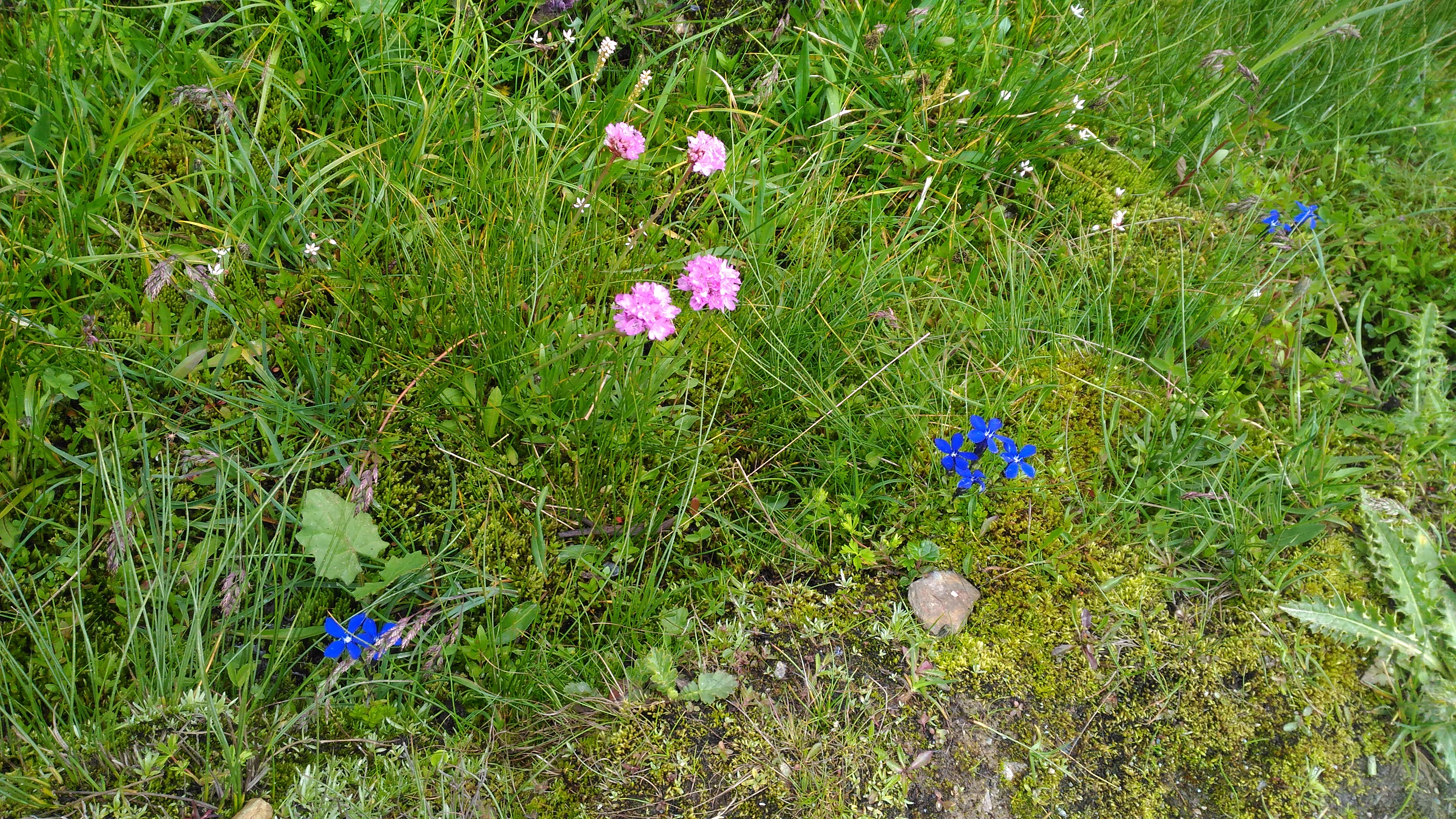 Photo n° 17 de l'avis de CHRIST. fait le 25/07/2018 à 18:05