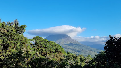 Arenal Jungle Tours