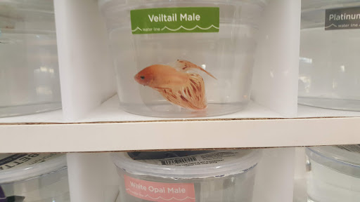 Pet Supply Store «Petco Animal Supplies», reviews and photos, 3055 Columbia Blvd #117, Titusville, FL 32780, USA