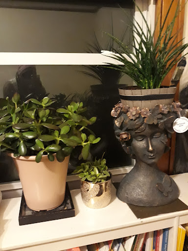 Department Store «HomeGoods», reviews and photos, 8600 Ward Pkwy #1025, Kansas City, MO 64114, USA