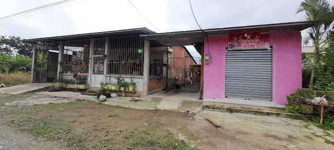 Opinii despre NOVEDADES YADYCAR SHUMIRAL în Camilo Ponce Enríquez - Tienda