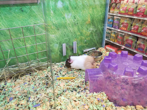 Pet Store «PetSmart», reviews and photos, 14903 4th Ave SW Ste 200, Burien, WA 98166, USA