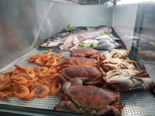 Avaliações doO Pescador em Elvas - Restaurante