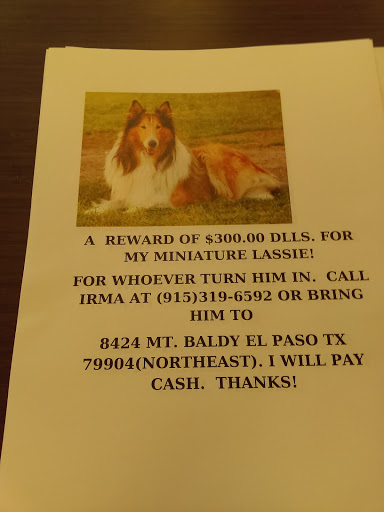 Print Shop «FedEx Office Print & Ship Center», reviews and photos, 1410 Lee Trevino Dr, El Paso, TX 79936, USA