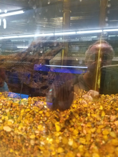 Pet Store «A to Z Pets», reviews and photos, 16010 SE Division St, Portland, OR 97236, USA